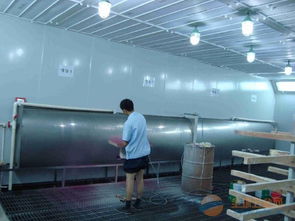 油漆喷漆厂废气处理中均四甲苯的达标性分析